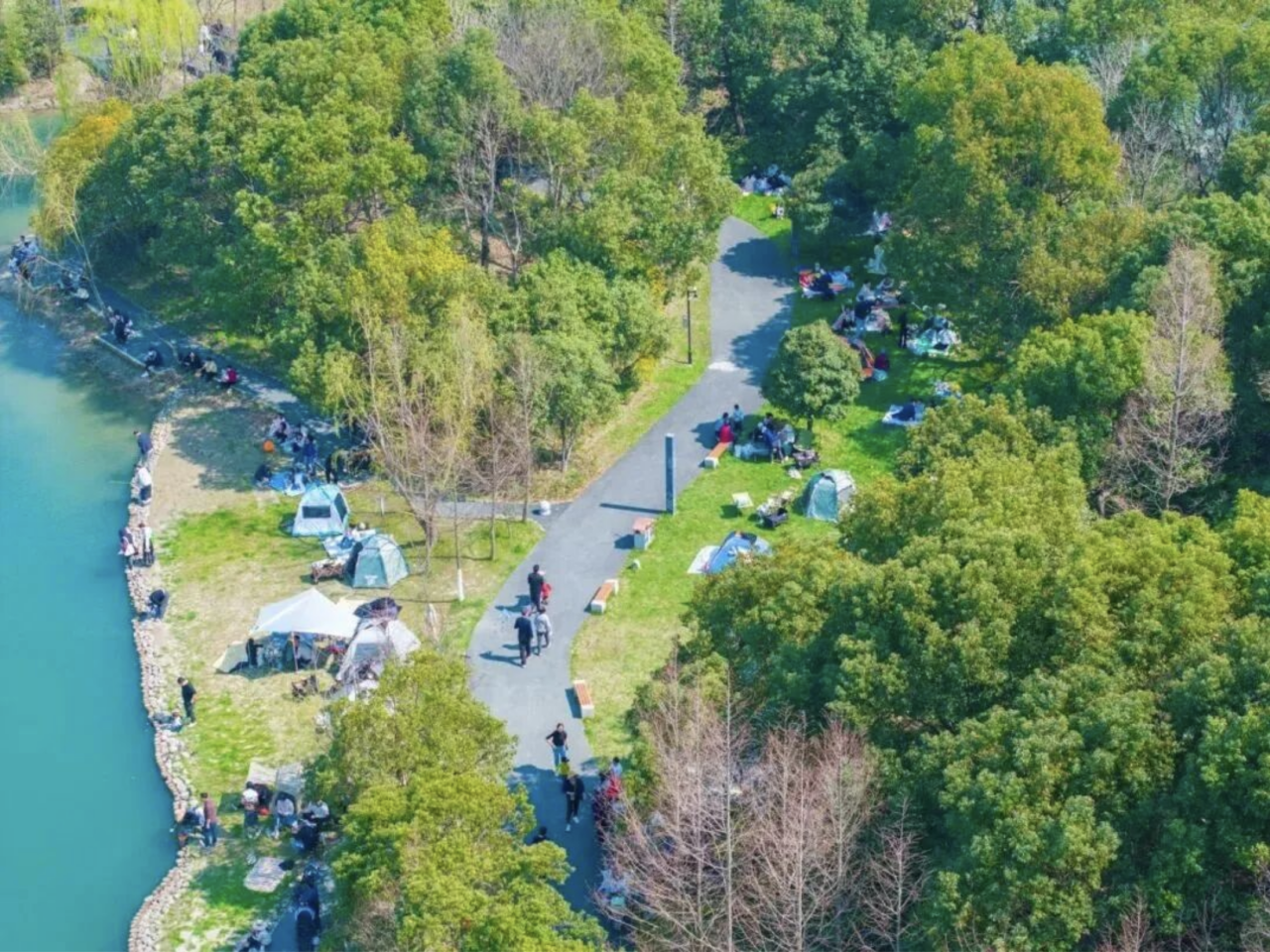 Tourists enjoy hiking and camping in the park..png