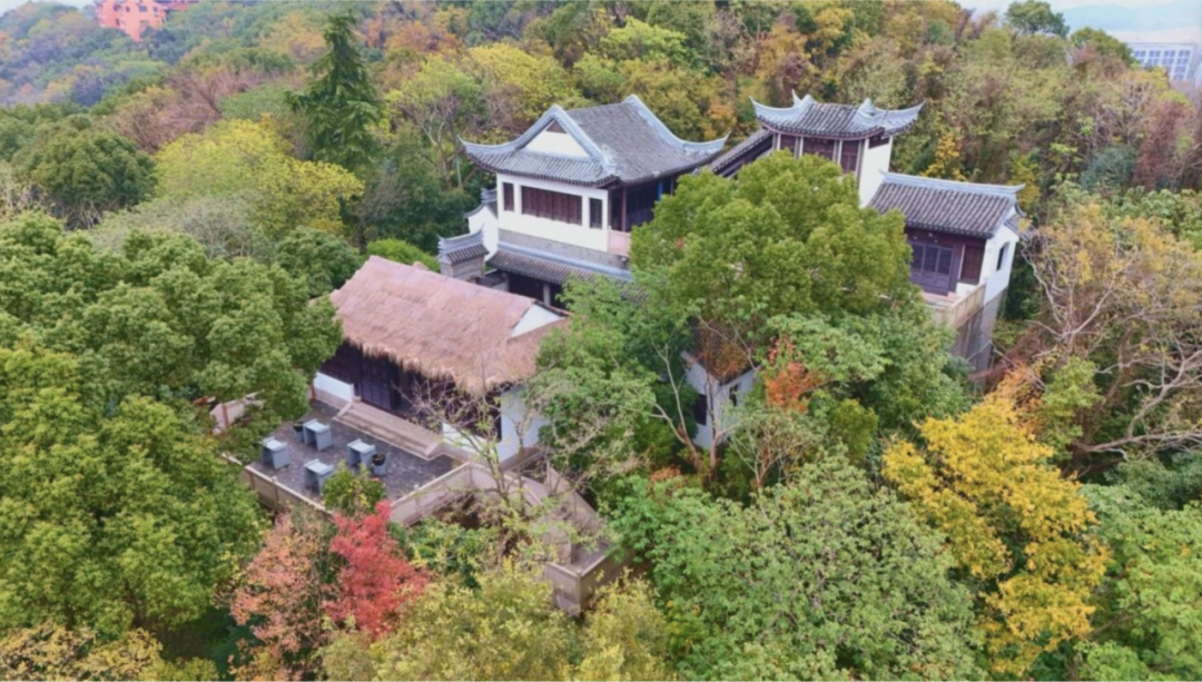 An aerial view of Lu Brothers
