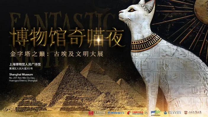 Museum presents cat-friendly night at Egyptian exhibition