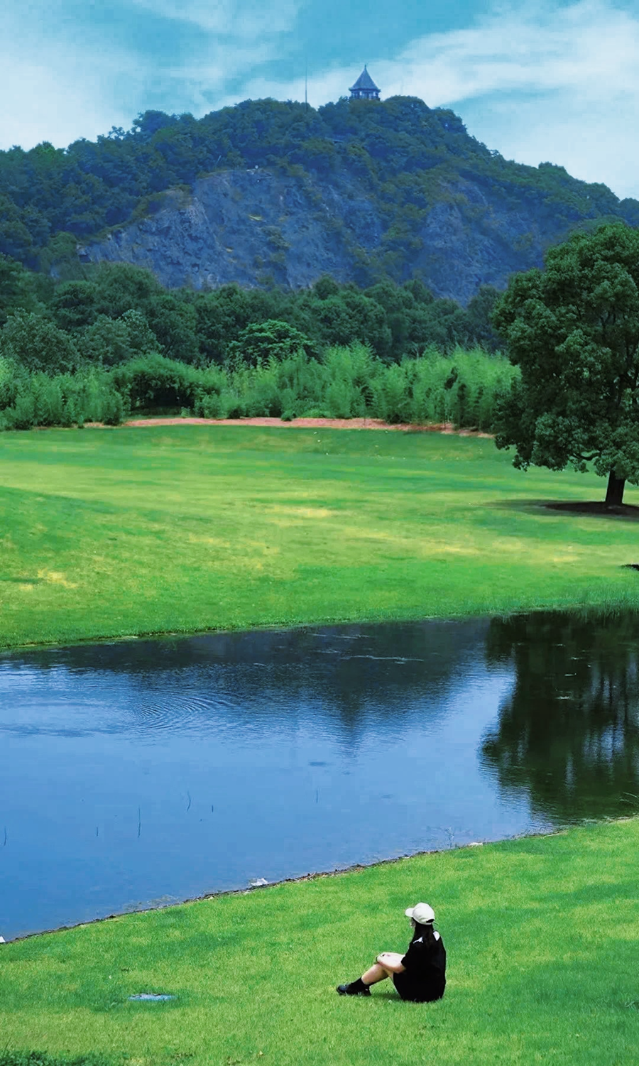 Clear your mind and connect with nature at Chenshan Botanical Garden.png