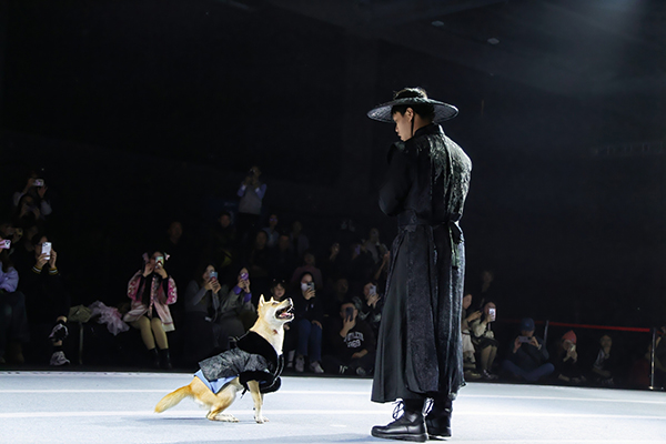Dogs rule the catwalk with latest fashions