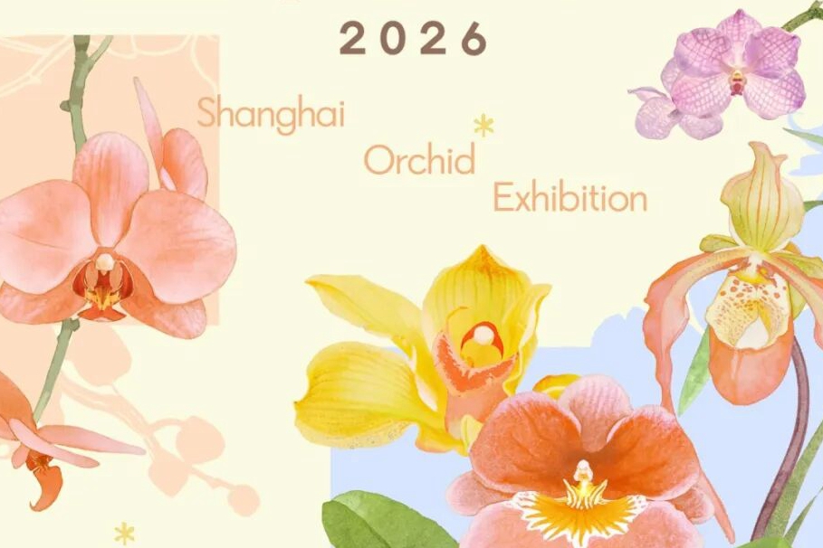 Dazzling 2026 orchid show opens in Hongkou district