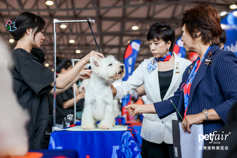 Pet Fair Asia2.jpg