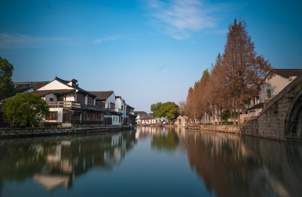 Town's strategic role in Yangtze River Delta highlighted in salon