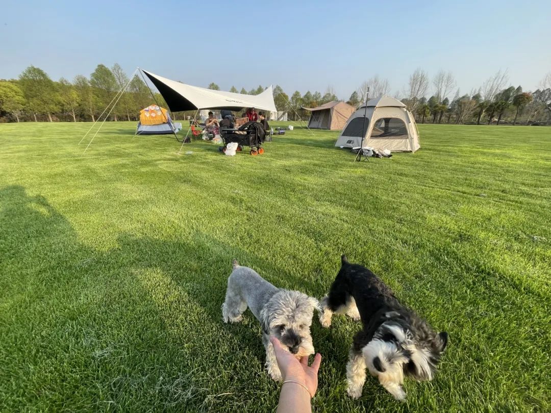 Orange Blue campsite.jpg