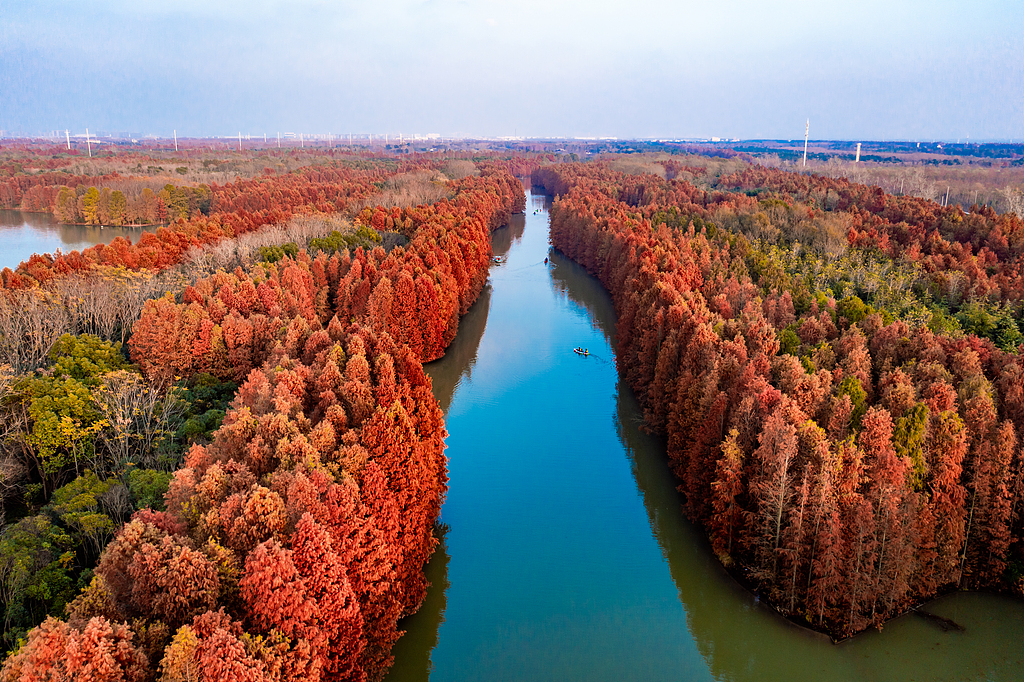 VCG211412794280.jpg