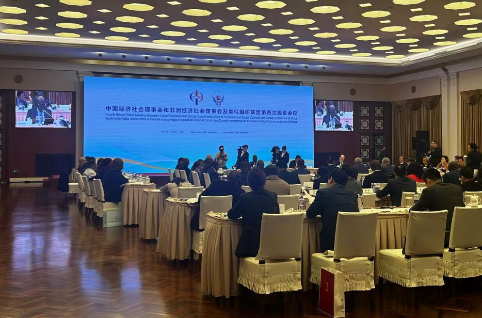 China, Africa experts discuss advancing modernization cooperation