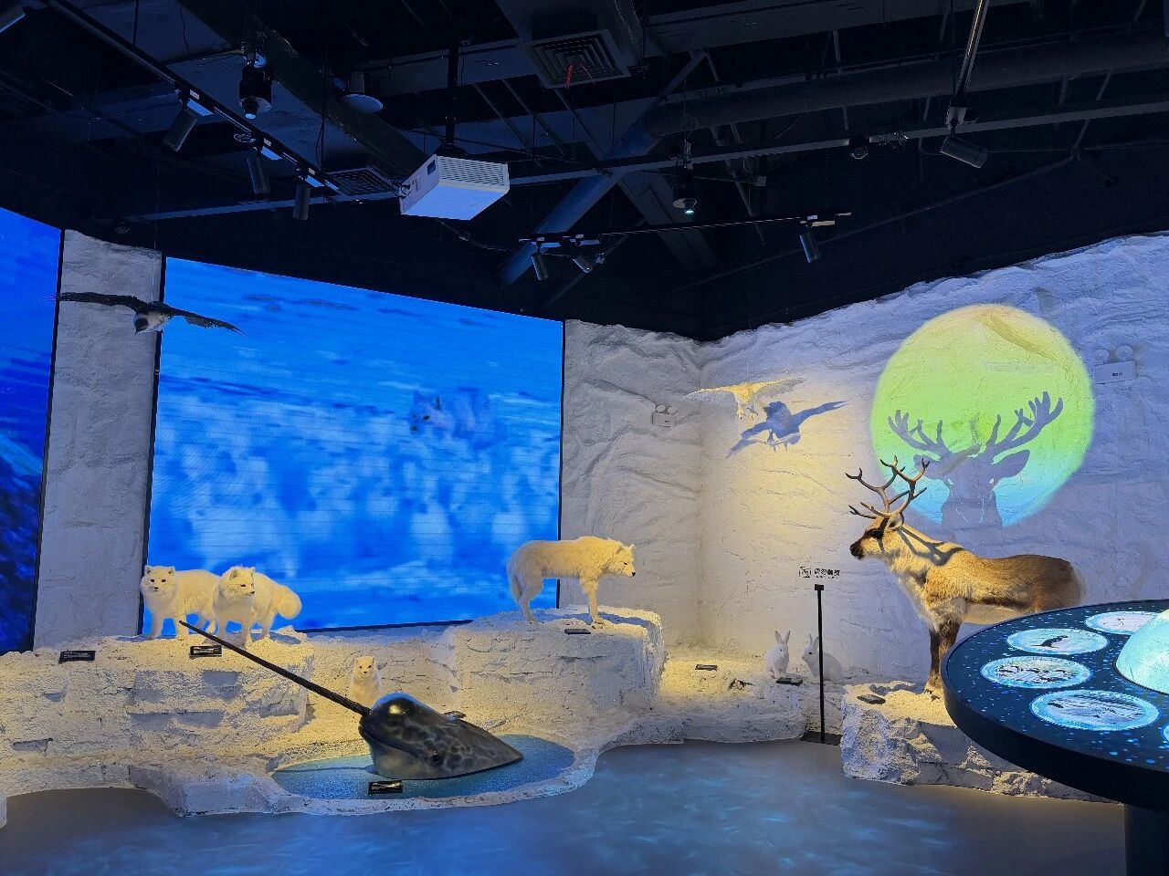 Shanghai Polar Pavilion opens in Minhang