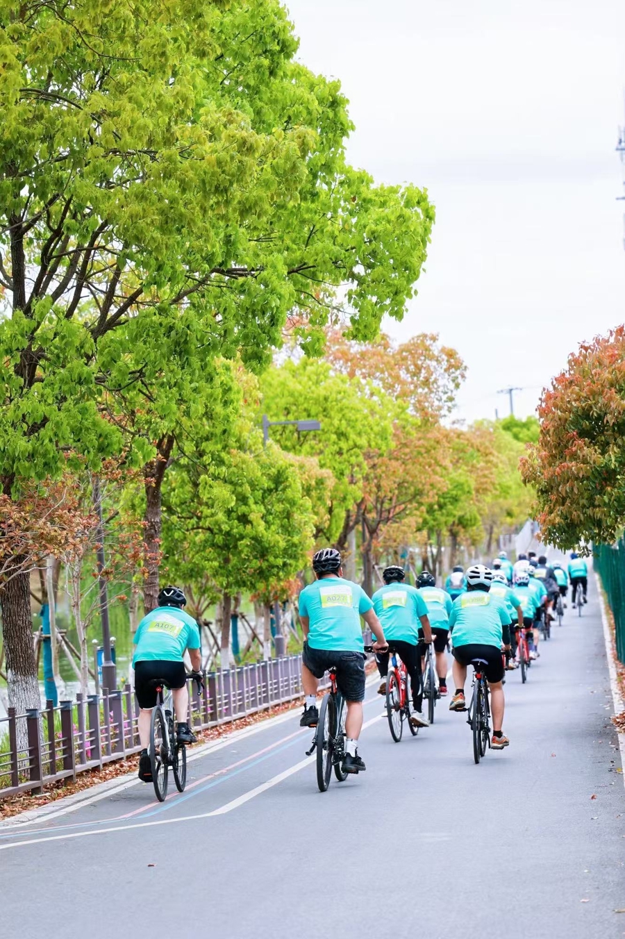 Riders cycle along a rural path during the Pudong countryside cycling event on April 19..jpeg