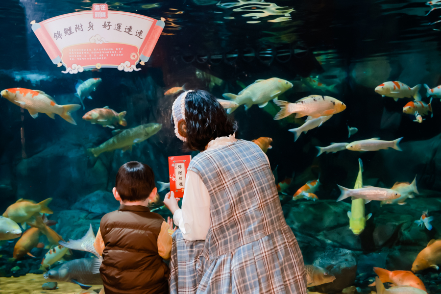 Visitors participate in the treasure hunt hosted by Shanghai Ocean Aquarium, in which they collect stamps for spotting eight aquatic species native to China. .png
