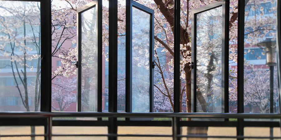 Spring at East China Normal University._副本.jpg
