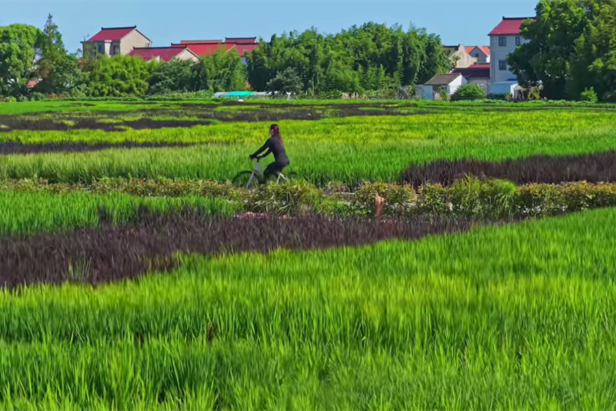 Explore the peaceful allure of Haishen village