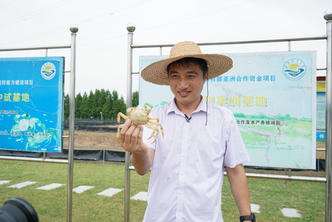 Rare white crabs fetch gourmets