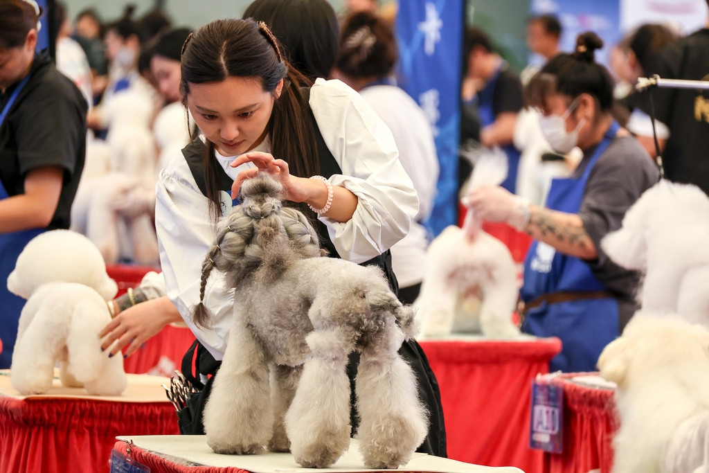 China's pet industry evolving at unprecedented rate