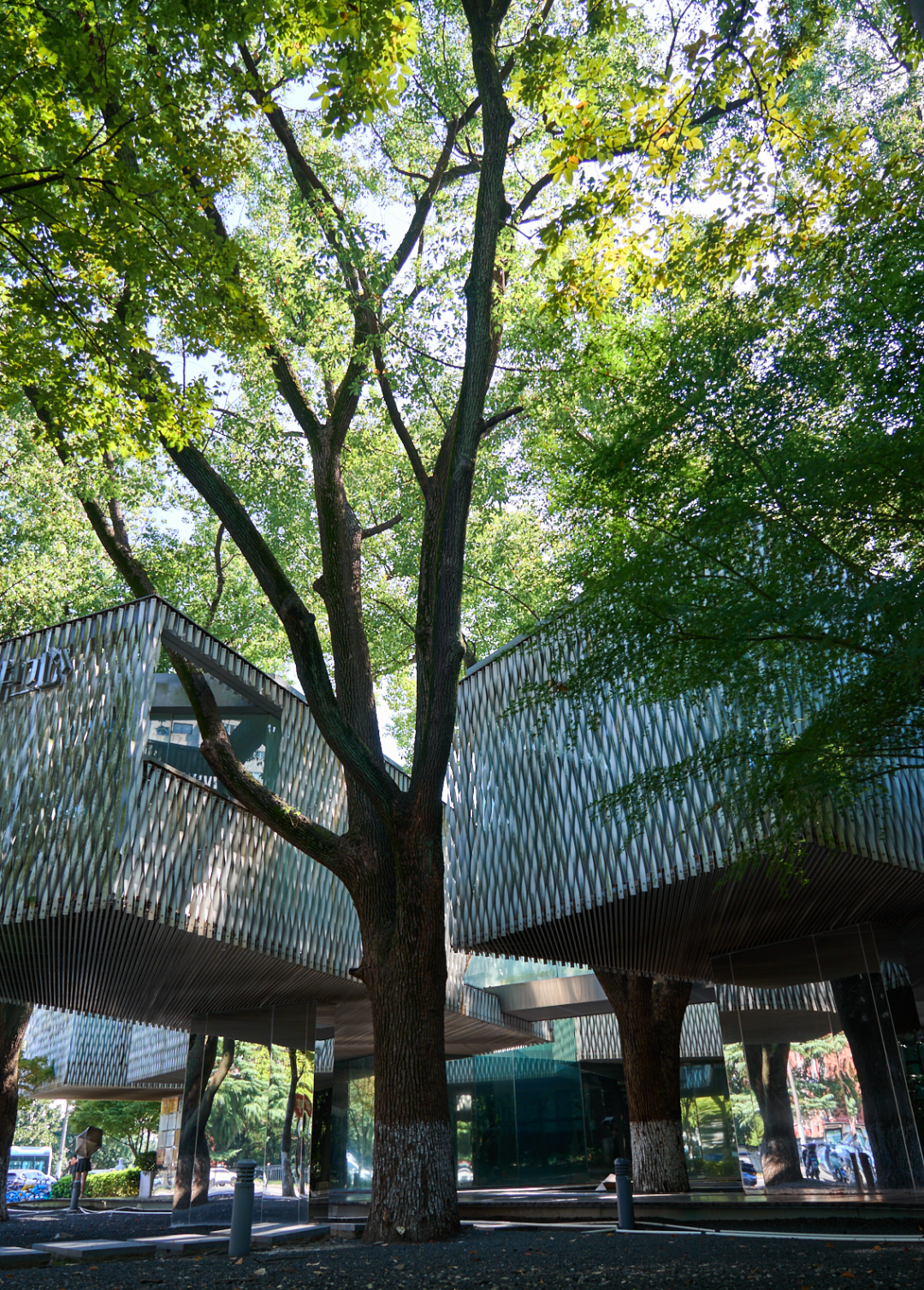 Jiudianshui Art Museum.png