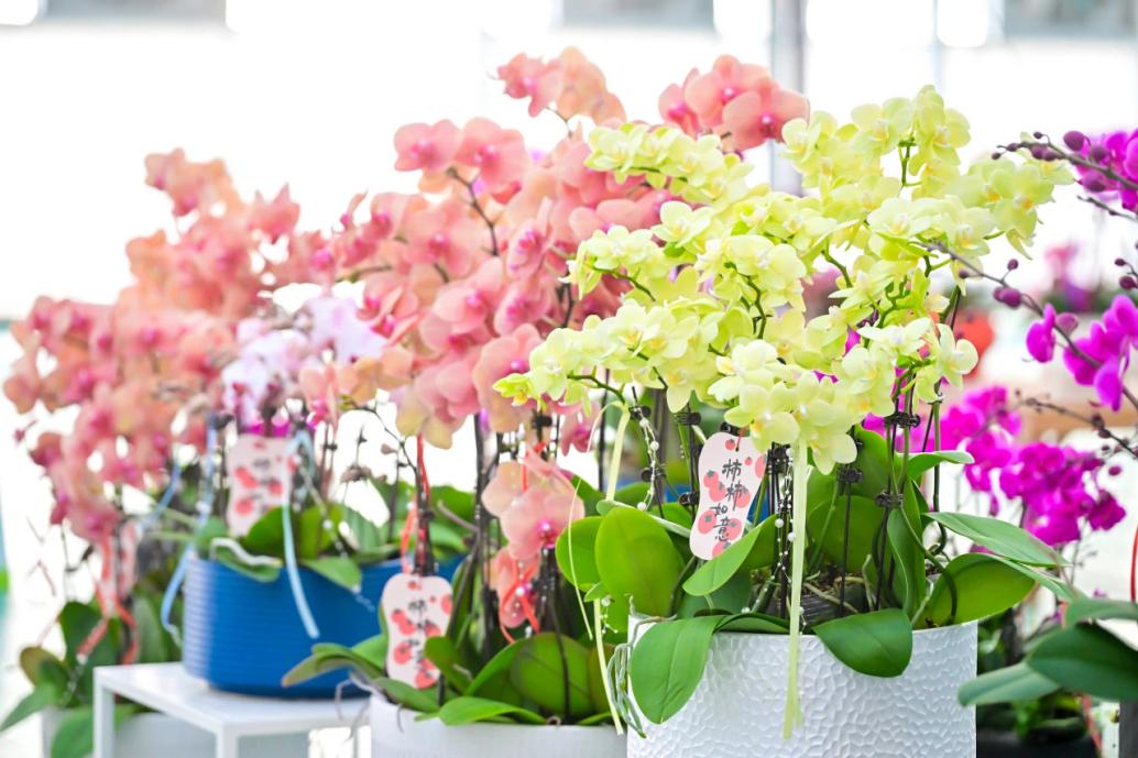 Visitors can learn to create festive floral arrangements in the village..png