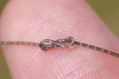 'Fiber chip' could be a boon for healthcare