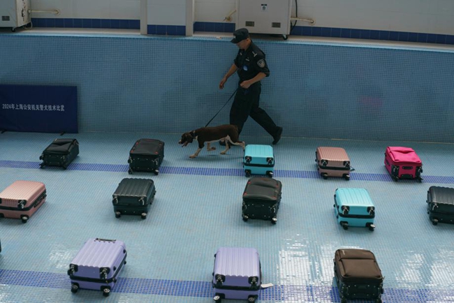 Police dogs showcase skills in Shanghai4.jpg Police dogs showcase skills in Shanghai4.jpg