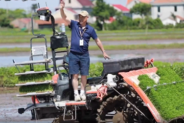 Japanese farmer grows rice in Chongming