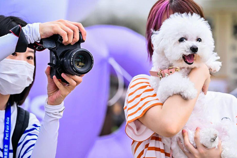 Shanghai New International Expo Center hosts pet extravaganza