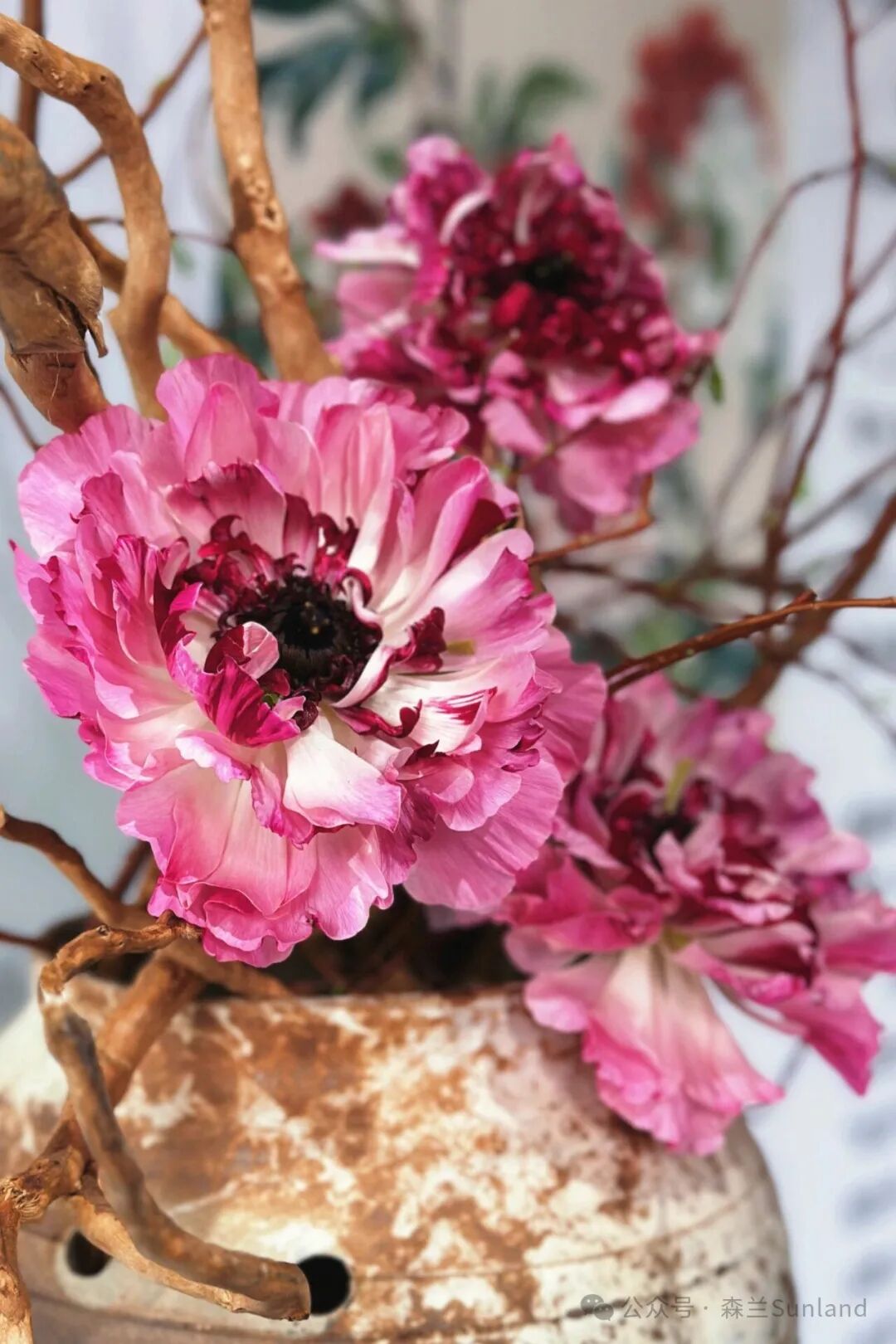 Peonies arranged in ceramic vases.jpg