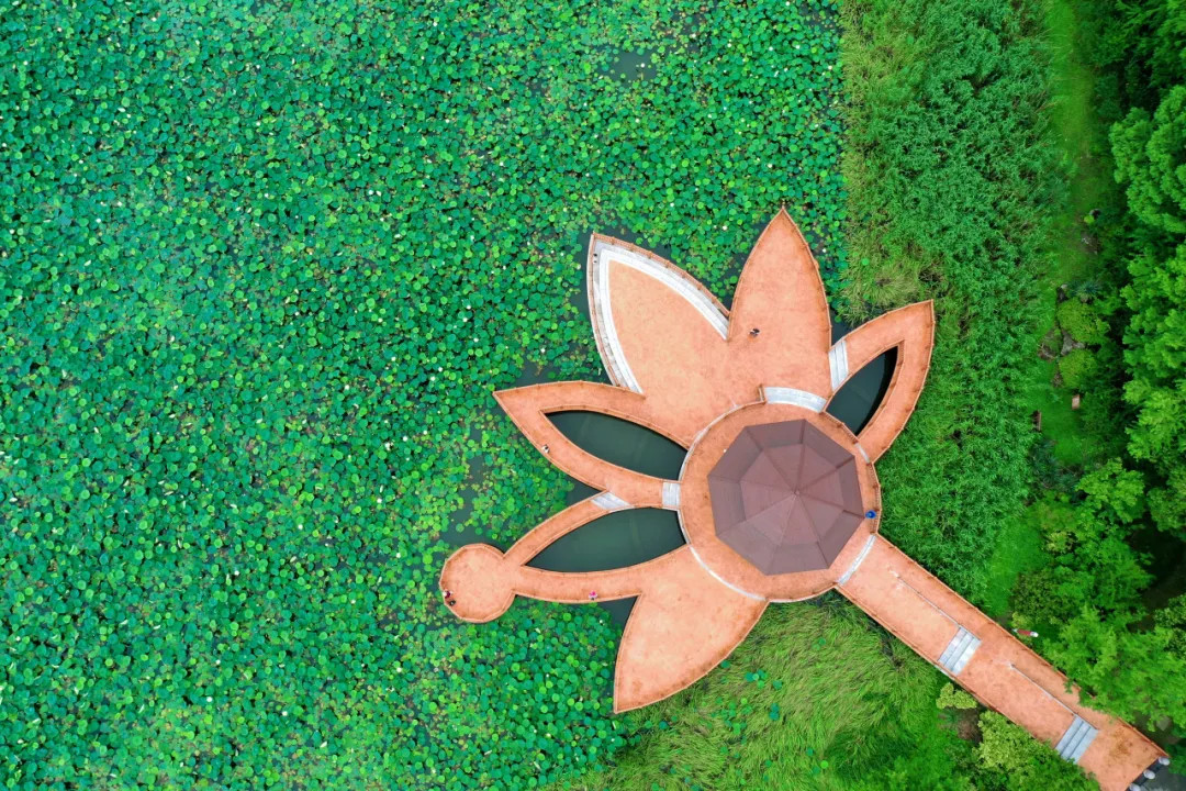 Summer delights at Gucun Park: A family-friendly destination