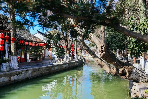 Qingpu 5.jpg Qingpu 5.jpg