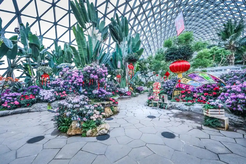 Shanghai parks celebrate Year of Horse with blooms, art and wildlife