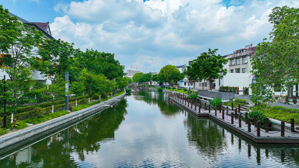 Countryside walk in Qingpu to feel change of seasons