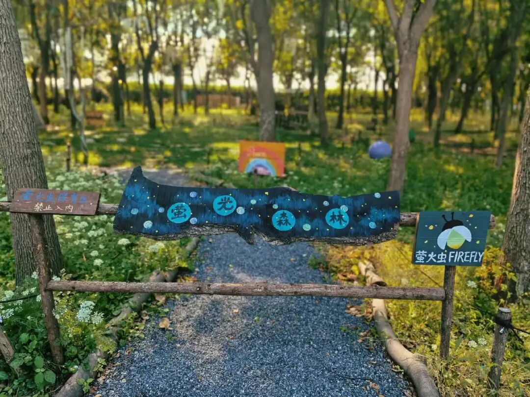 a firefly conservation area.jpg
