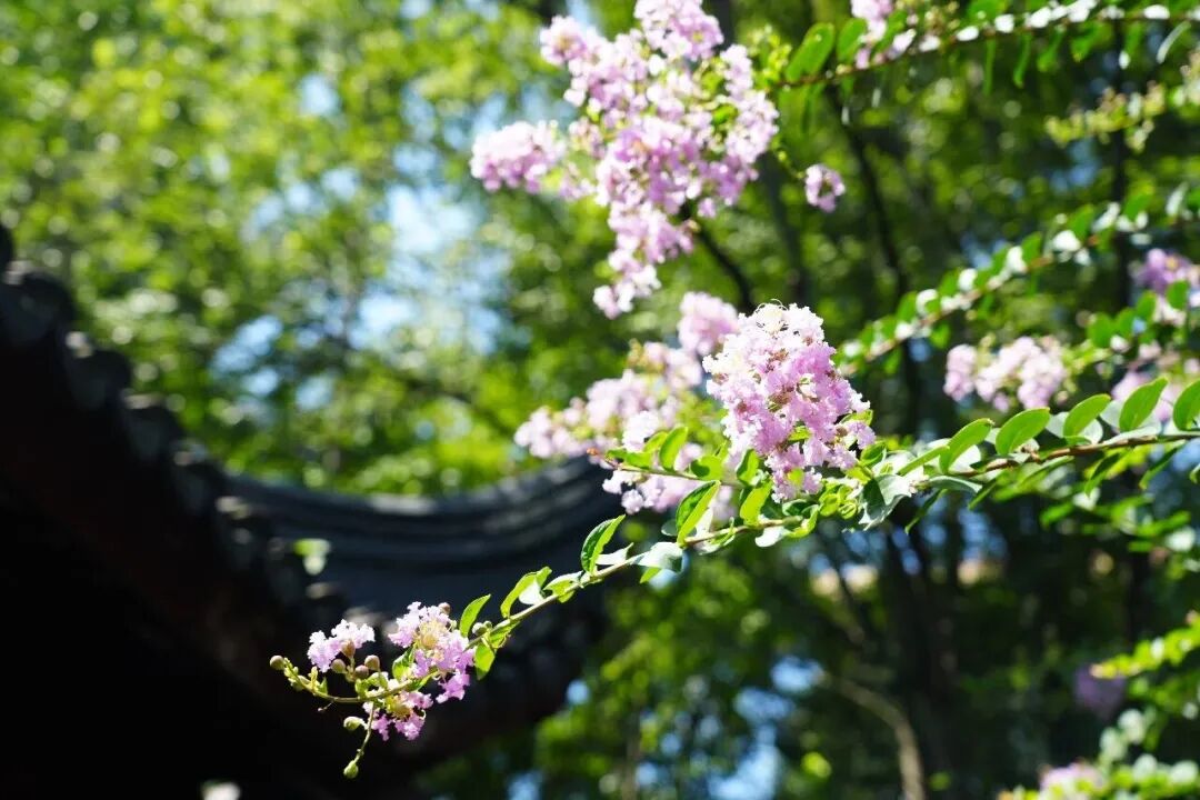 Ziyunlang Park.jpg