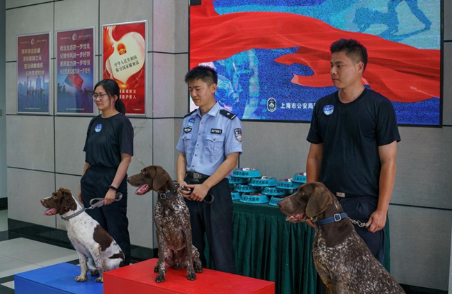 Police dogs showcase skills in Shanghai6.jpg Police dogs showcase skills in Shanghai6.jpg