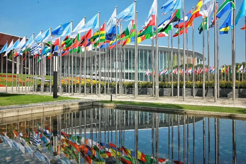 Multinationals in Pudong gear up for 8th CIIE