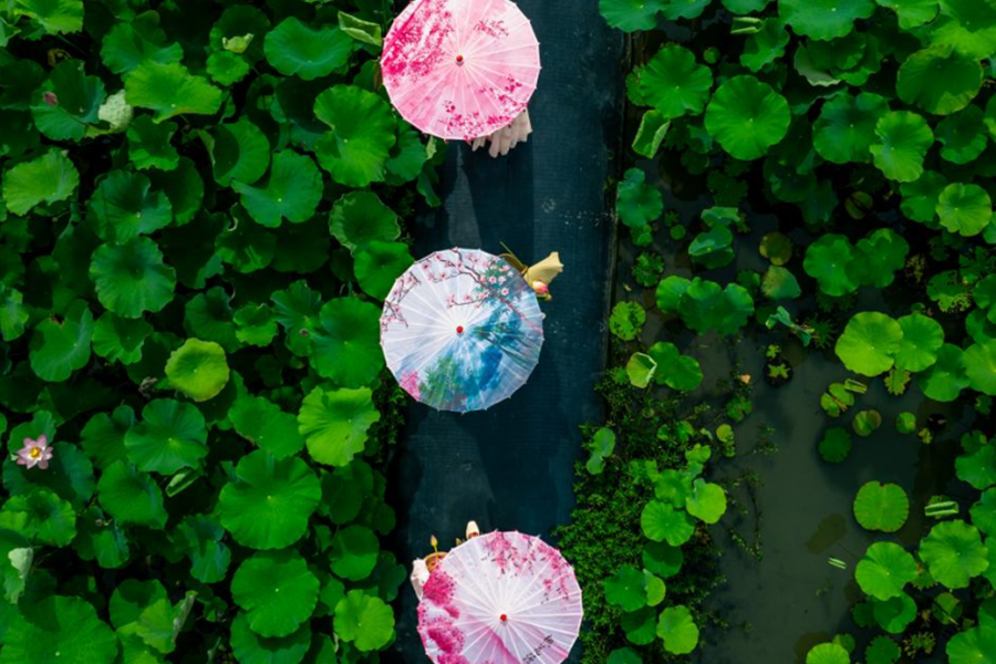 Cultural and tourism feast in ancient water towns