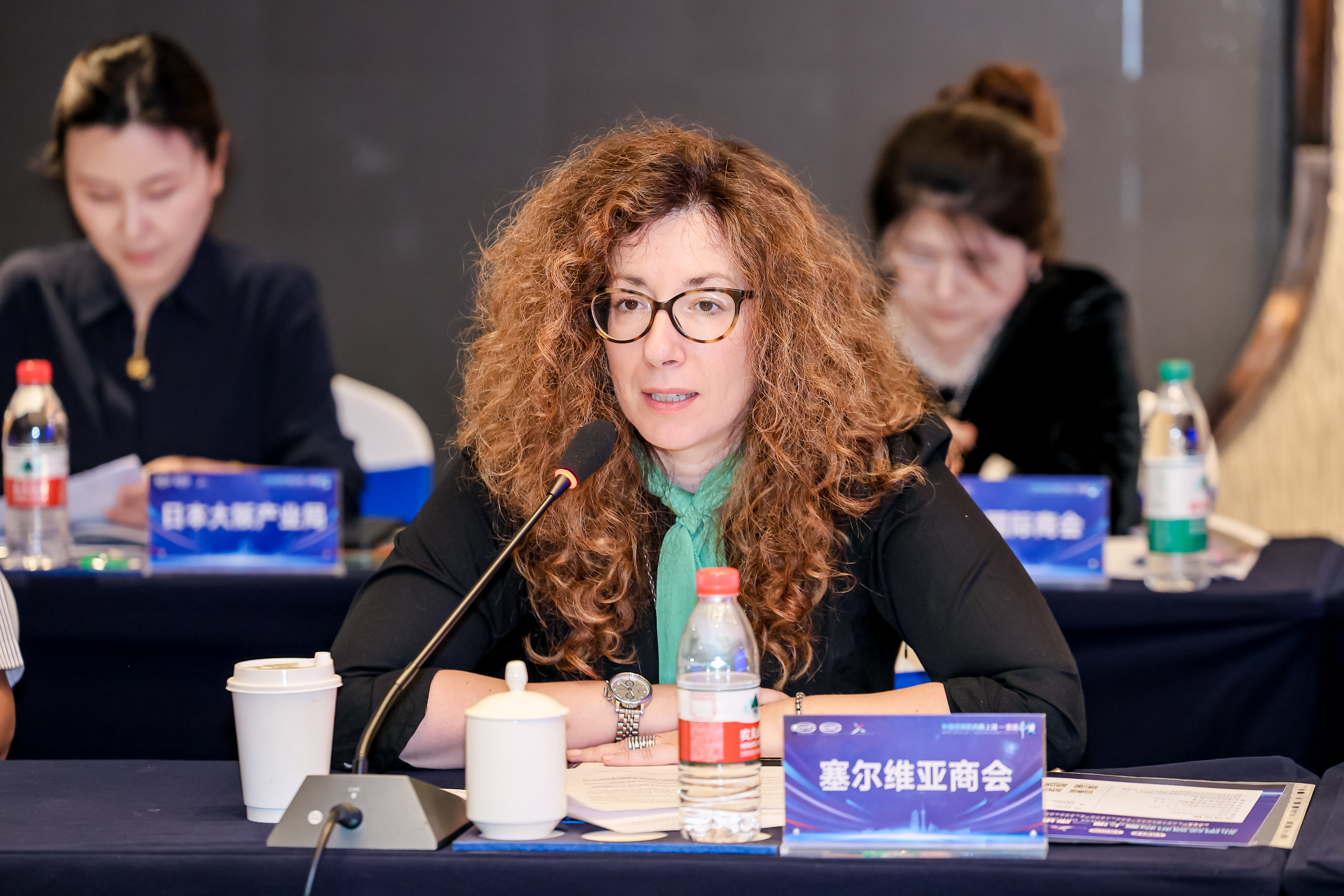 Foreign business representatives explore Fengxian