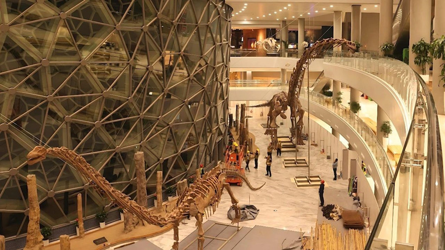 Rare dinosaur specimens unveiled at Shanghai Natural History Museum2.jpg