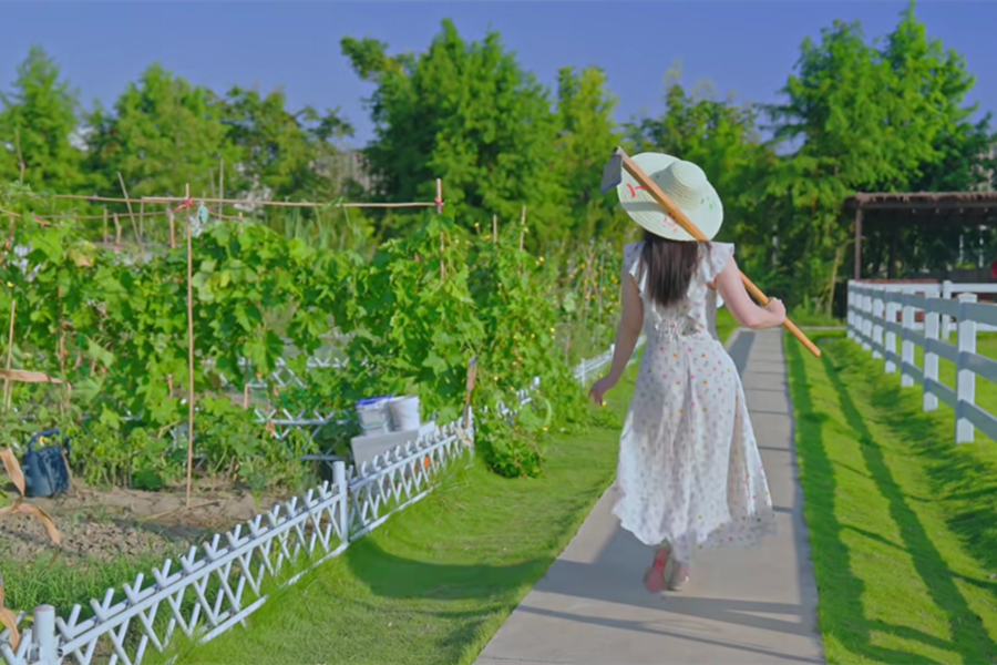 Countryside escape in Shenyang village