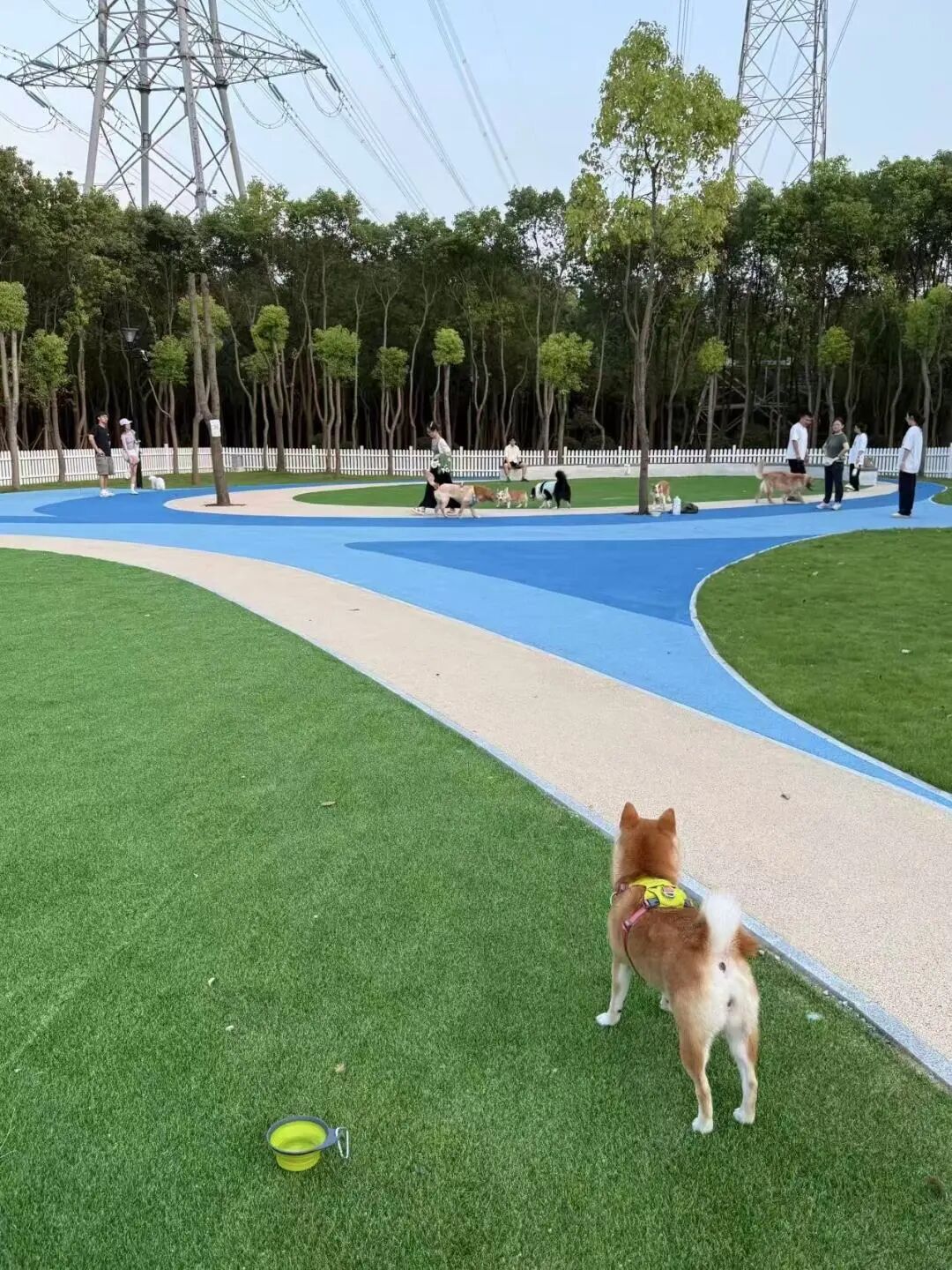 Yanbei Park.jpg