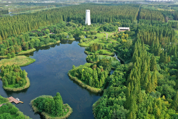 Mark your calendar for Chongming Rural Culture and Tourism Festival