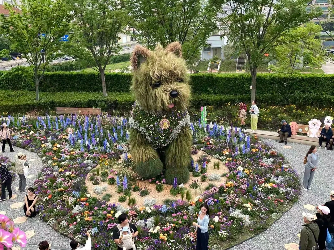 Shanghai Invites Public to Name Giant 'Floral Puppy'