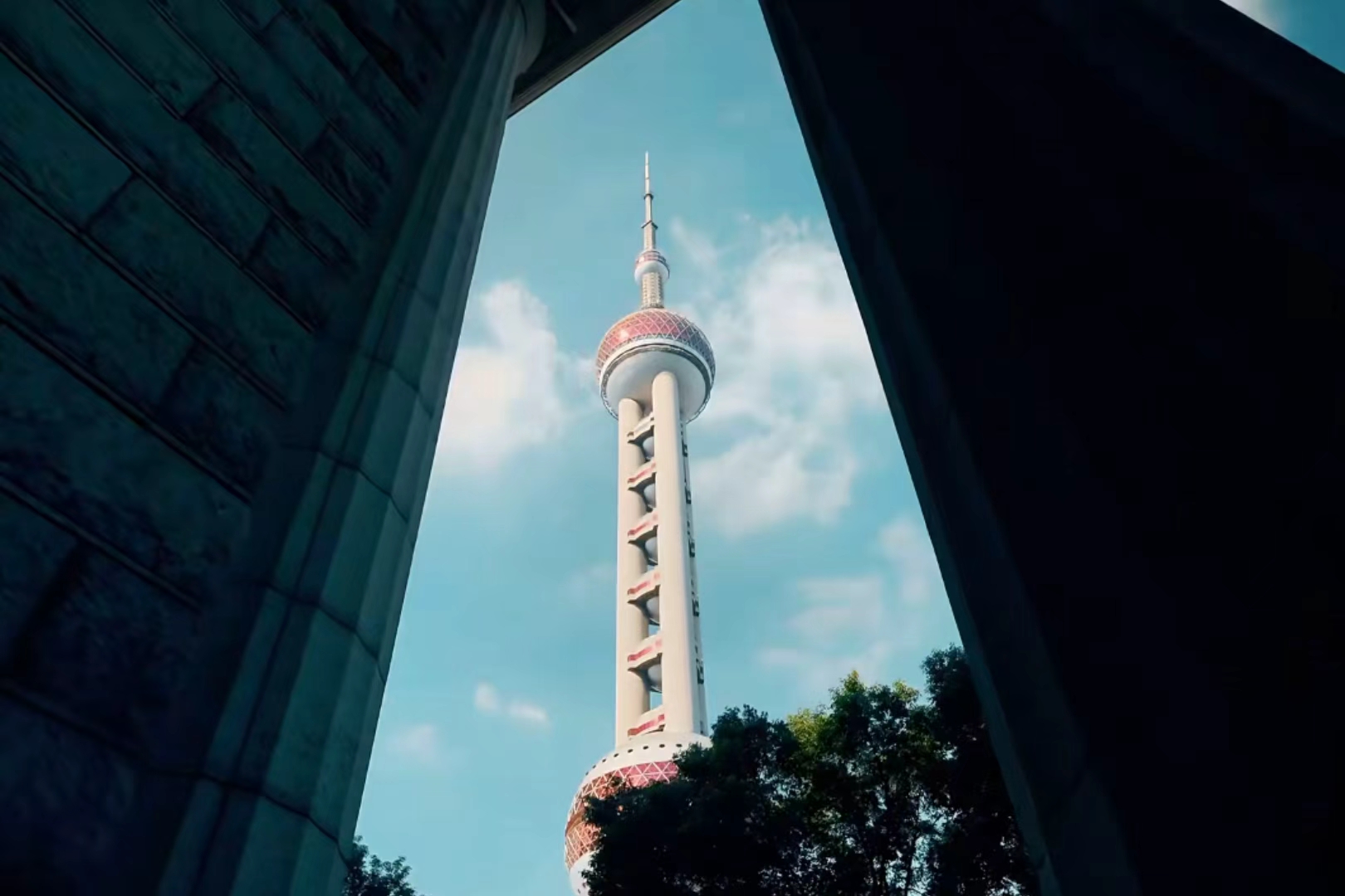 Families worldwide dive into Shanghai Summer