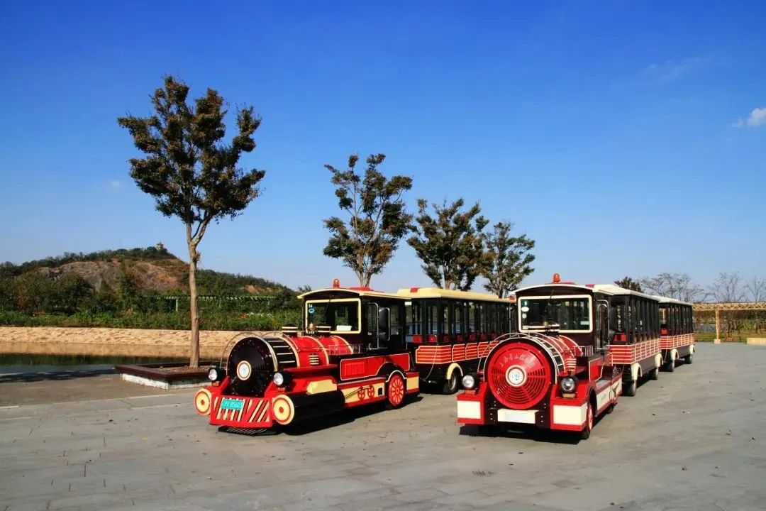 Chenshan Botanical Garden summer camp3.jpg