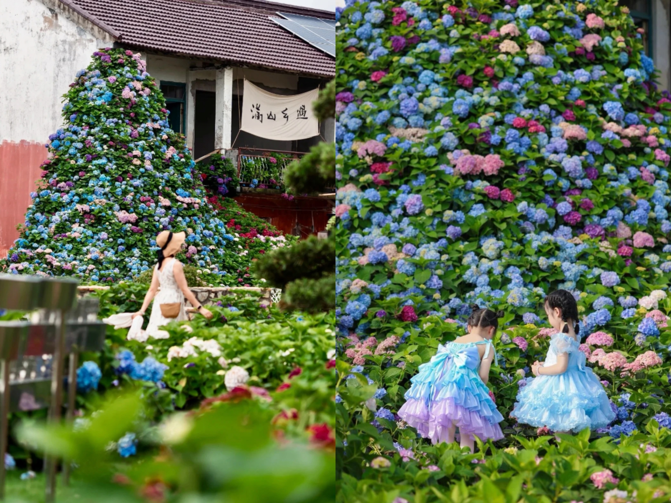 A cascading waterfall-like hydrangea art installation draws crowds at the festival..jpg