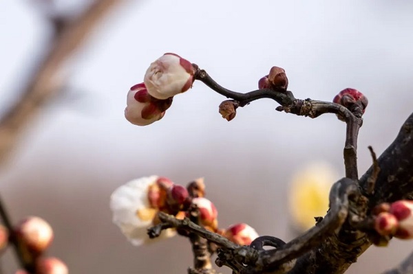 640 (14).jpg 640 (14).jpg