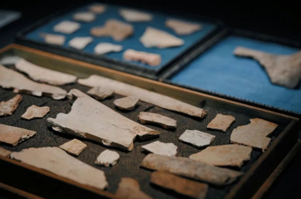 'Culture in Focus' exhibition opens at Shanghai Jia Art