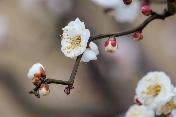 640 (1).png 640 (1).png