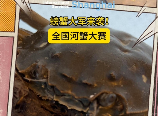 'Crab King' and 'Crab Queen' crowned at Shanghai competition