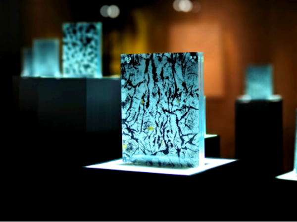 12_副本.png 12_副本.png