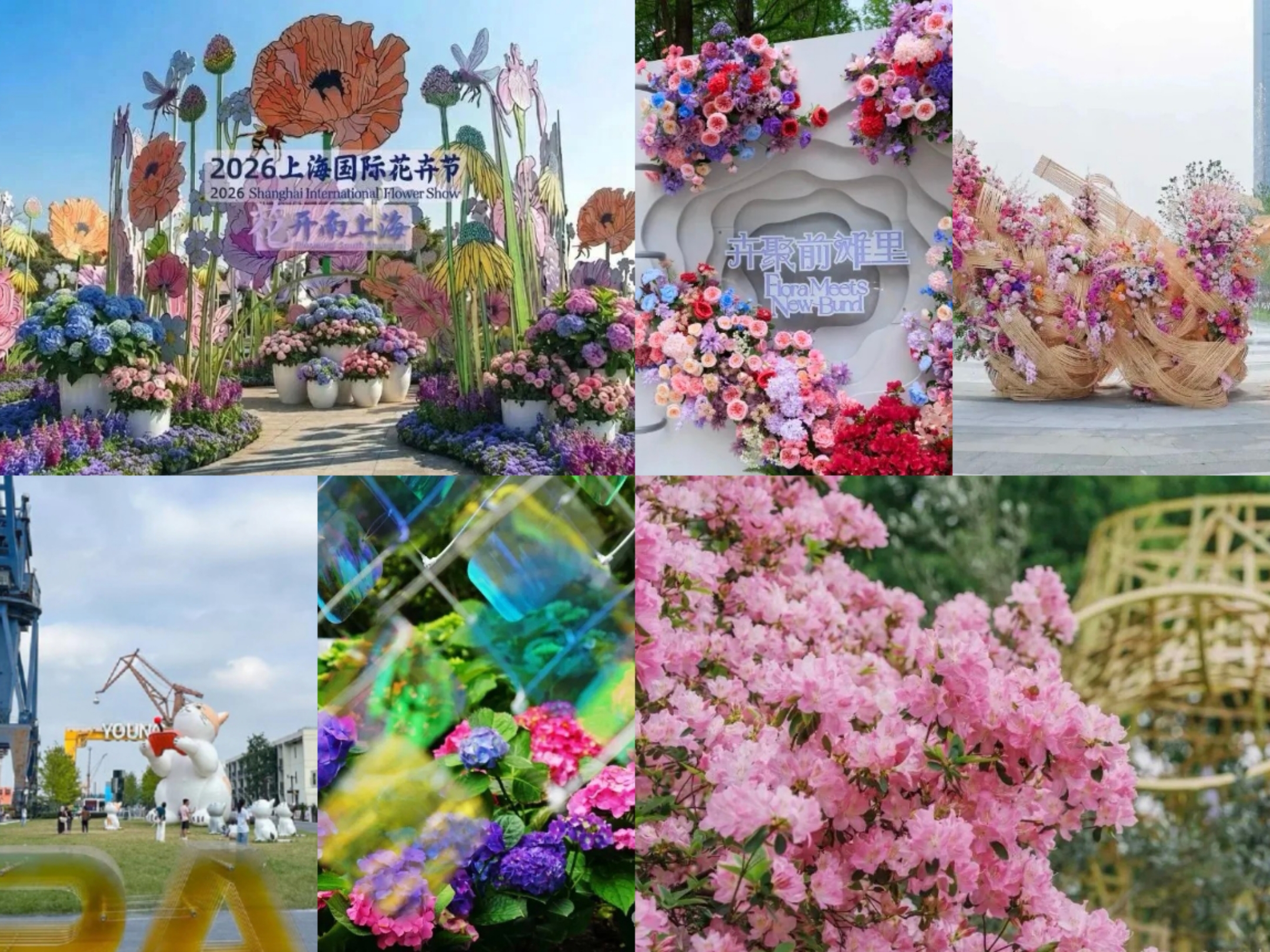Shanghai International Flower Show What each sub-venue has to offer.jpg
