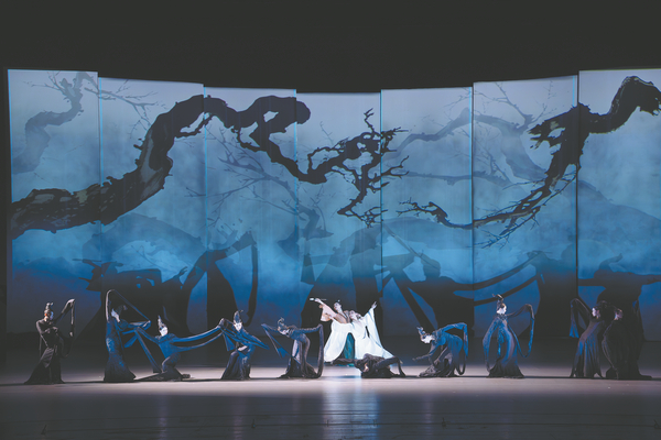 Dance shows poetry in motion